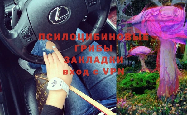 дмт Алзамай
