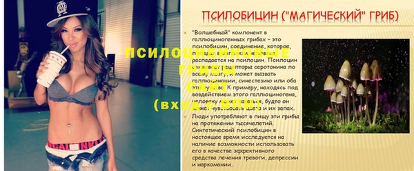 дмт Алзамай