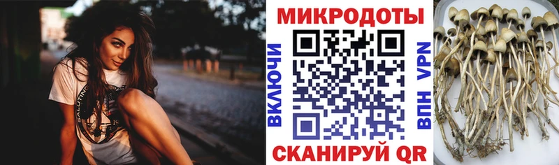Псилоцибиновые грибы ЛСД  Купить  Бородино 