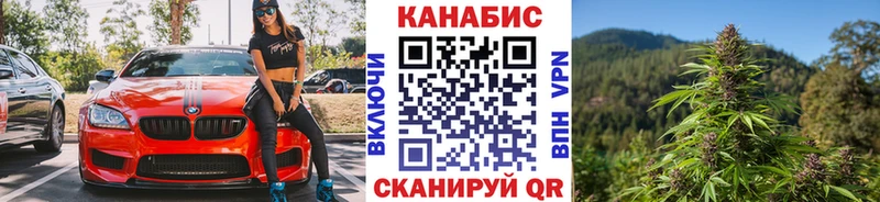 Канабис ГИДРОПОН  Купить где  Бородино 